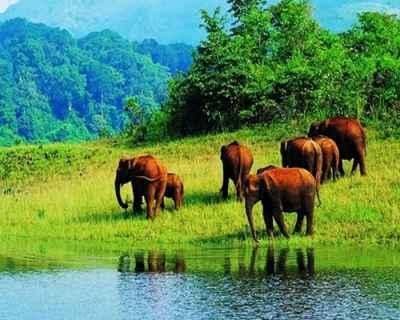 Kerala Bliss - Backwater & Beyond - Stays