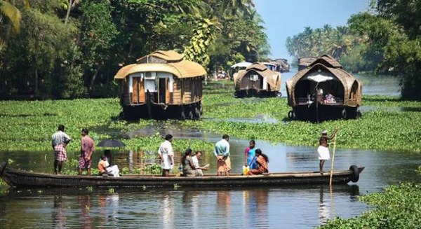 Kerala Bliss - Backwater & Beyond - Transfers