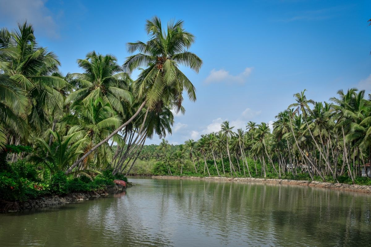 Cochin