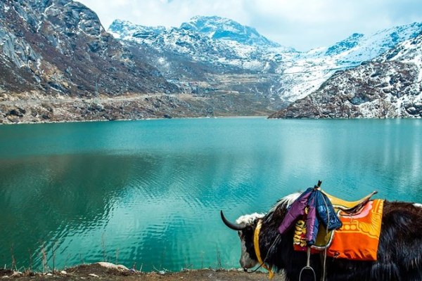 Himalayan Bliss - Stays