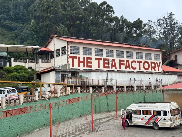 Tea Factory