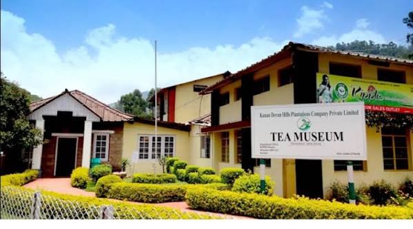 Tea Museum