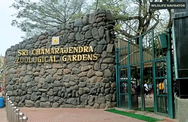 Mysore Zoo
