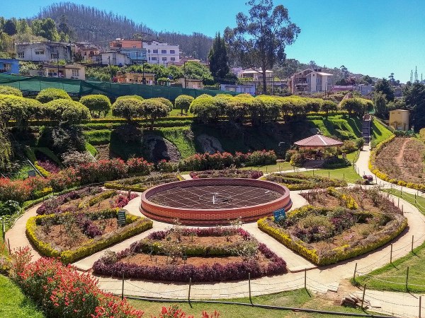 Rose Garden